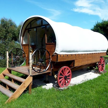 Wacky Stays - Unique Farm-Stay Glamping Rentals, Free Animal Feeding Tours Kaikoura Buitenkant foto