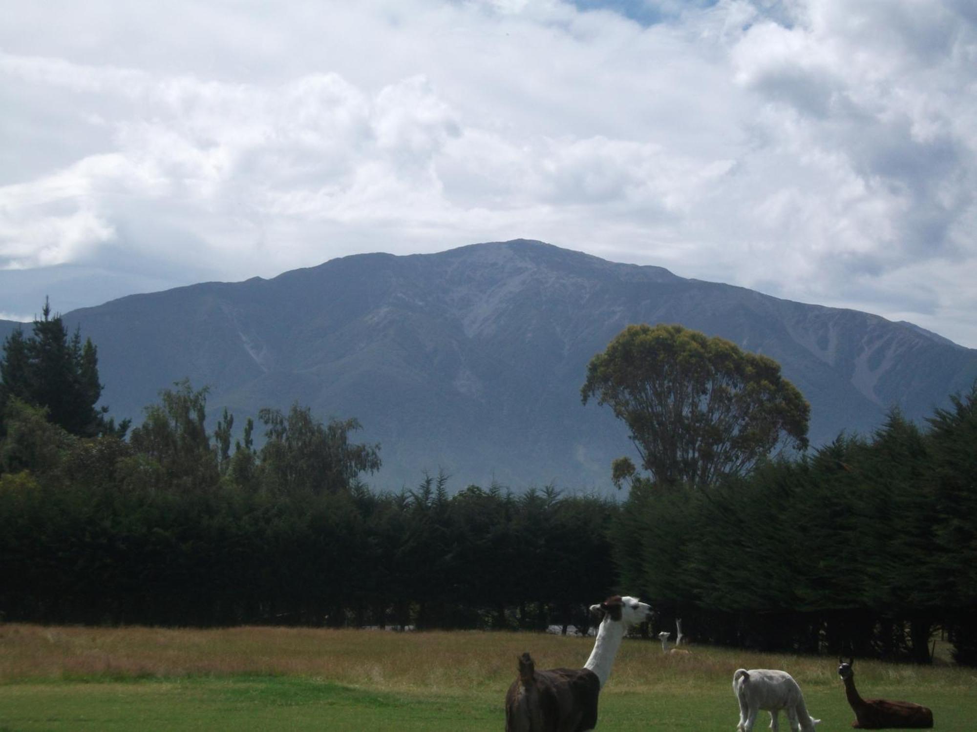 Wacky Stays - Unique Farm-Stay Glamping Rentals, Free Animal Feeding Tours Kaikoura Buitenkant foto