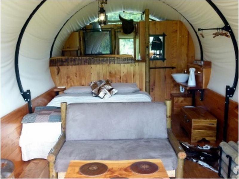 Wacky Stays - Unique Farm-Stay Glamping Rentals, Free Animal Feeding Tours Kaikoura Buitenkant foto