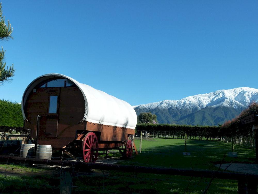 Wacky Stays - Unique Farm-Stay Glamping Rentals, Free Animal Feeding Tours Kaikoura Buitenkant foto