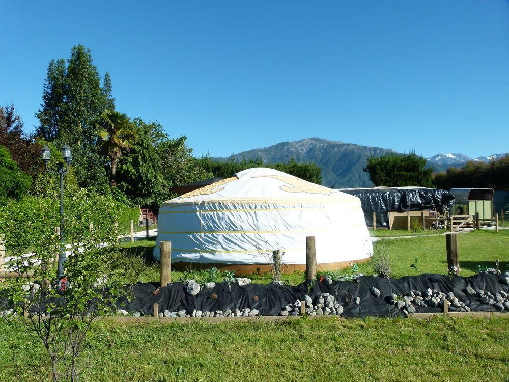 Wacky Stays - Unique Farm-Stay Glamping Rentals, Free Animal Feeding Tours Kaikoura Buitenkant foto